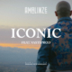 amalinze iconic feat vastiprod